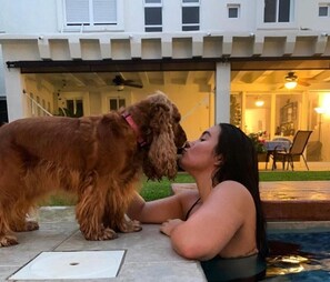 Servei de restauració a l'aire lliure