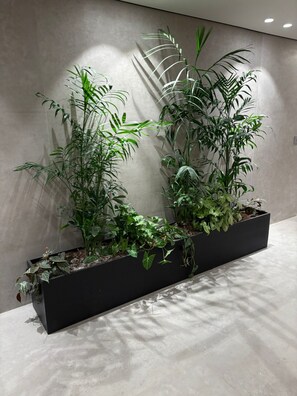Un bac à fleurs rectangulaire noir, dans lequel sont plantées différentes espèces de plantes vertes, le tout placé devant un mur uni.