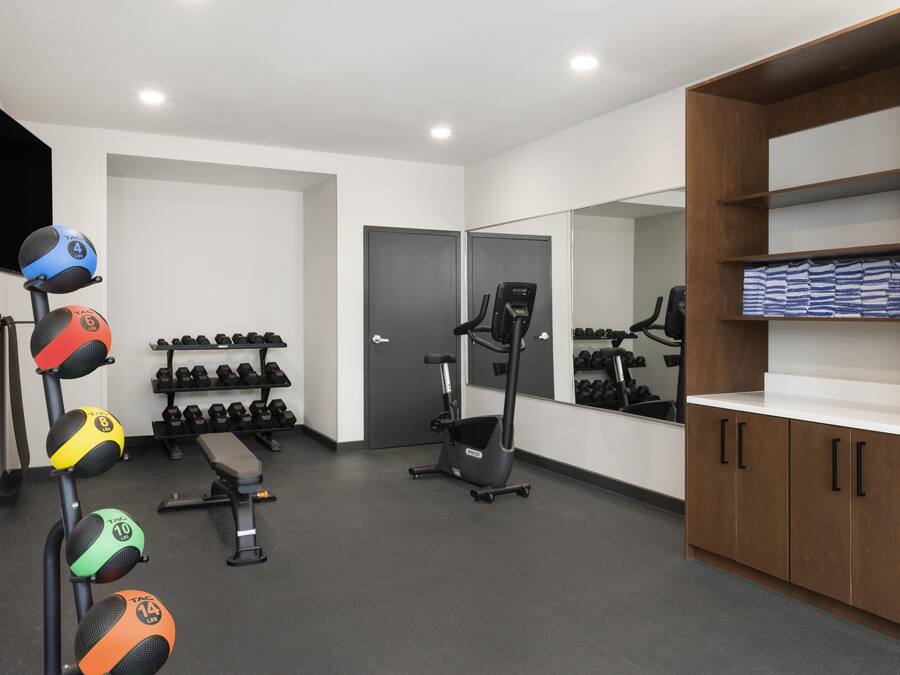 A gym with exercise equipment, a bench, dumbbells, a treadmill, and a mirror.