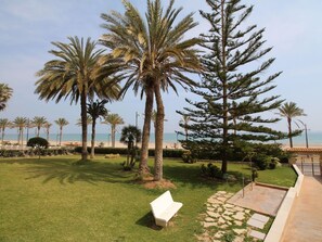 Ein mit Gras bewachsener Bereich mit Palmen und einer Bank, mit Blick auf einen Strand.