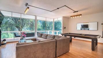TV, fireplace, video games