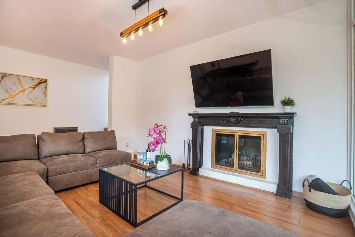 TV, fireplace, video games