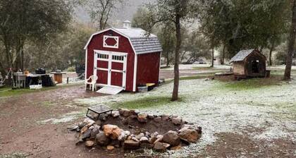 The Cozy Tiny Shabin Cabin