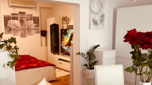 A bedroom with a bed, a TV, a plant, and a vase with flowers. - Comfort Studio Apartment - Studio Apartment with Garden View (Kastel Luksic)