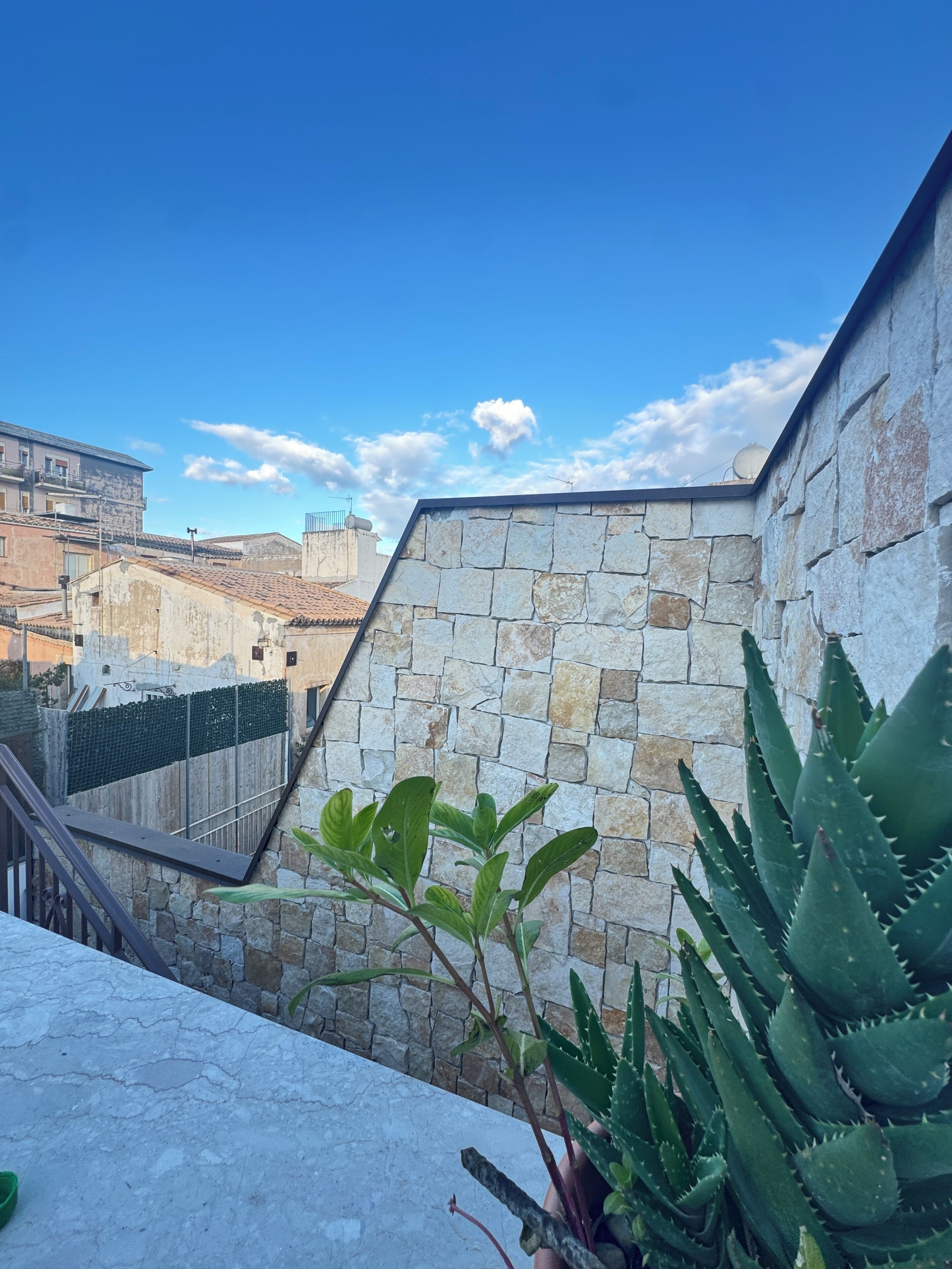 A stone wall with a plant, a metal railing, and a view of buildings in the background.