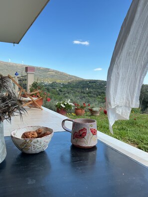 Property grounds - Horizon House
With olive grove and vineyard (Amarynthos)