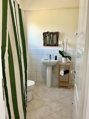Shower, hair dryer, towels, soap - Horizon House
With olive grove and vineyard (Amarynthos)