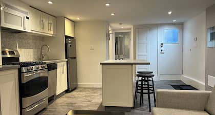 Downtown Modern Newly Renovated 1Bedroom- Wifi, Transit, Walkable-LESLIEVILLE