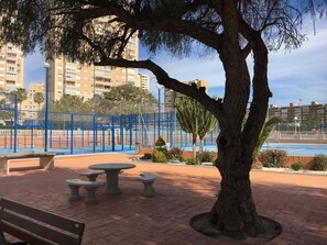 A park with a large tree, benches, and a blue fence. - ESTUDIO PLAYA MUCHAVISTA by Interhome (El Campello/Villajoyosa)