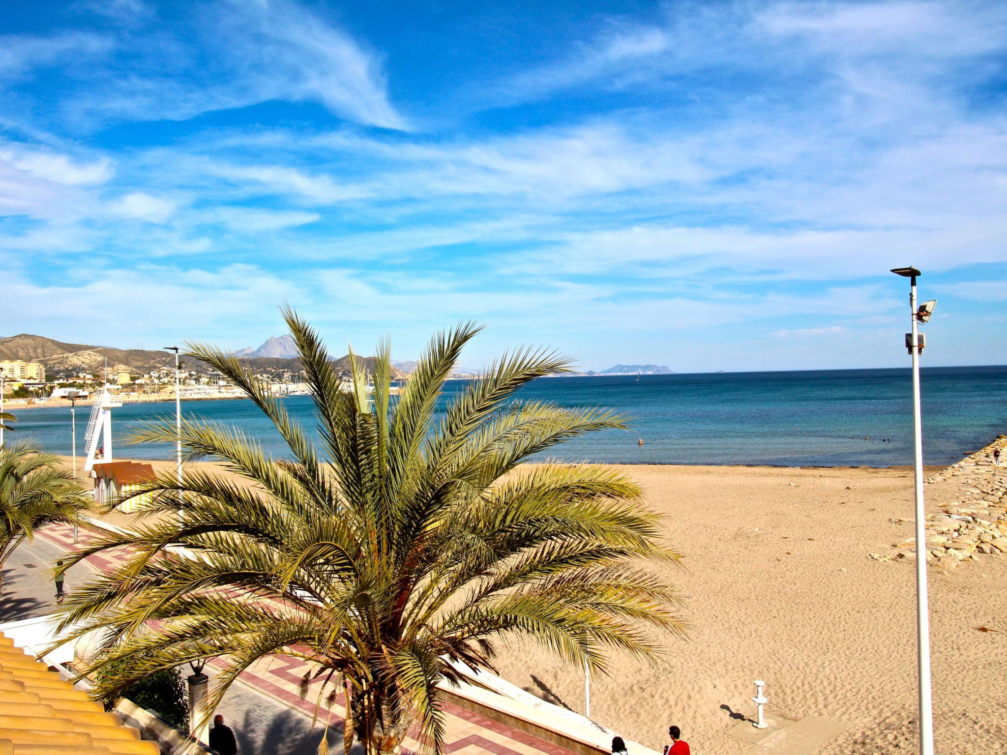 A beach with a palm tree, a clear sky, and a distant mountain.