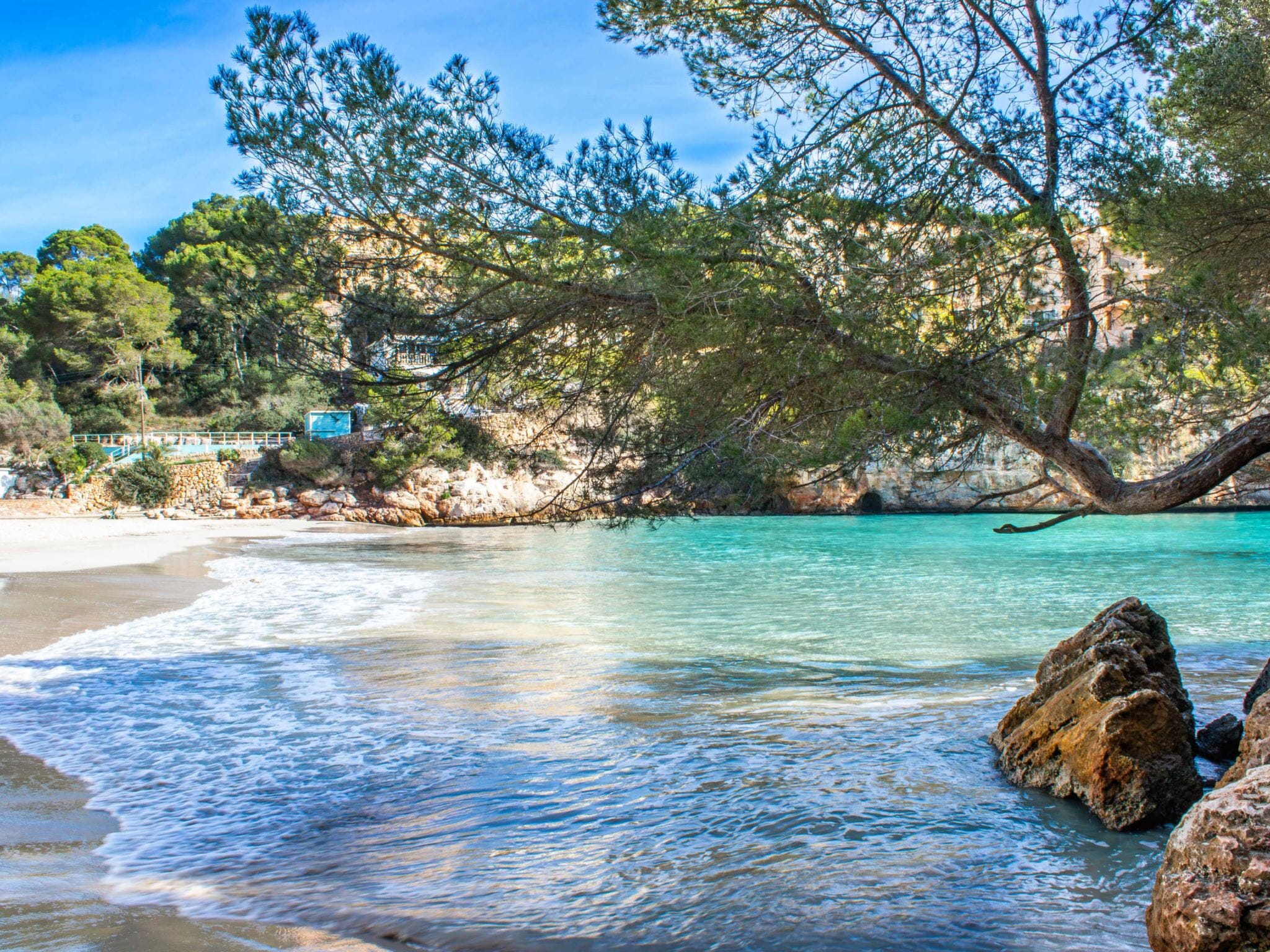 A beach with clear turquoise water, rocky shoreline, and dense pine trees.