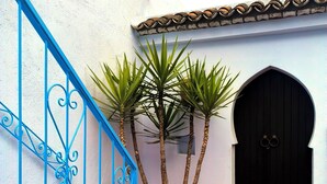 A staircase with blue railings, a potted plant with tall green leaves, and a black door with a decorative handle.