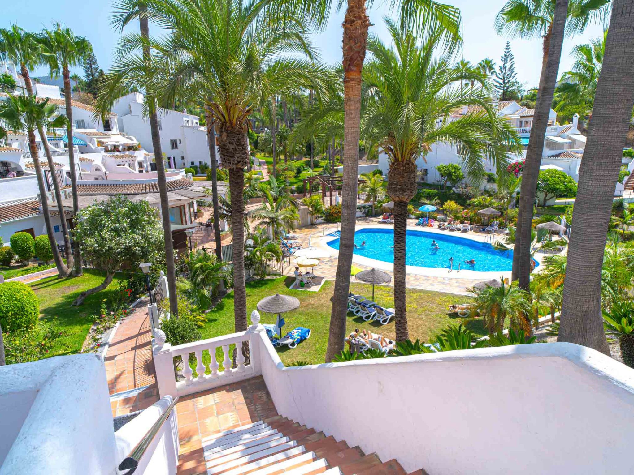 A pool area with palm trees, lounge chairs, and a clear blue pool.