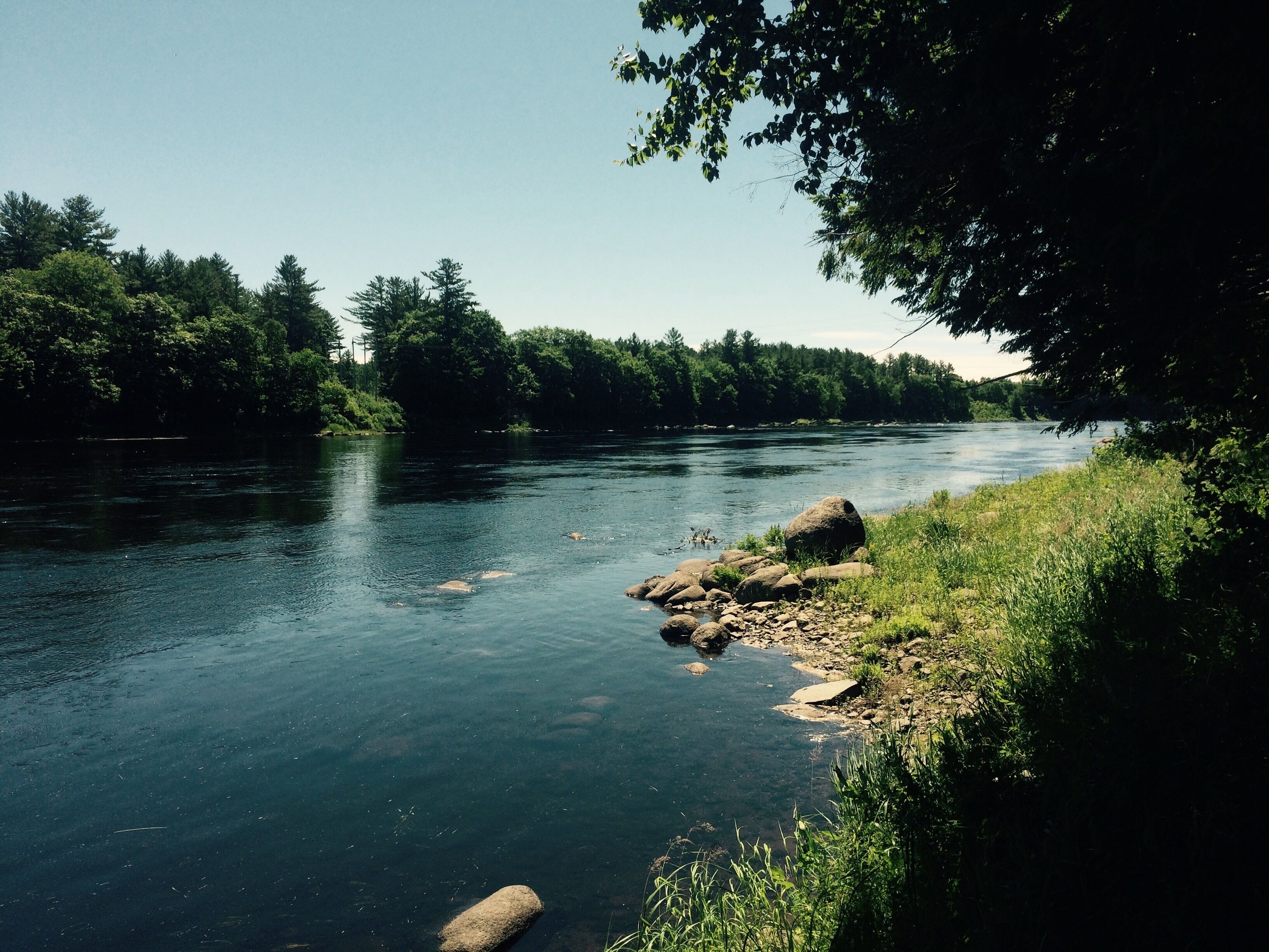 A river with clear water, surrounded by trees and rocks.