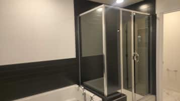 Shower, hair dryer, bidet, towels