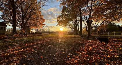 House 3 beds, 1 bath Farm Stay at a Pygmy Goat Farm in Byron Center, Michigan