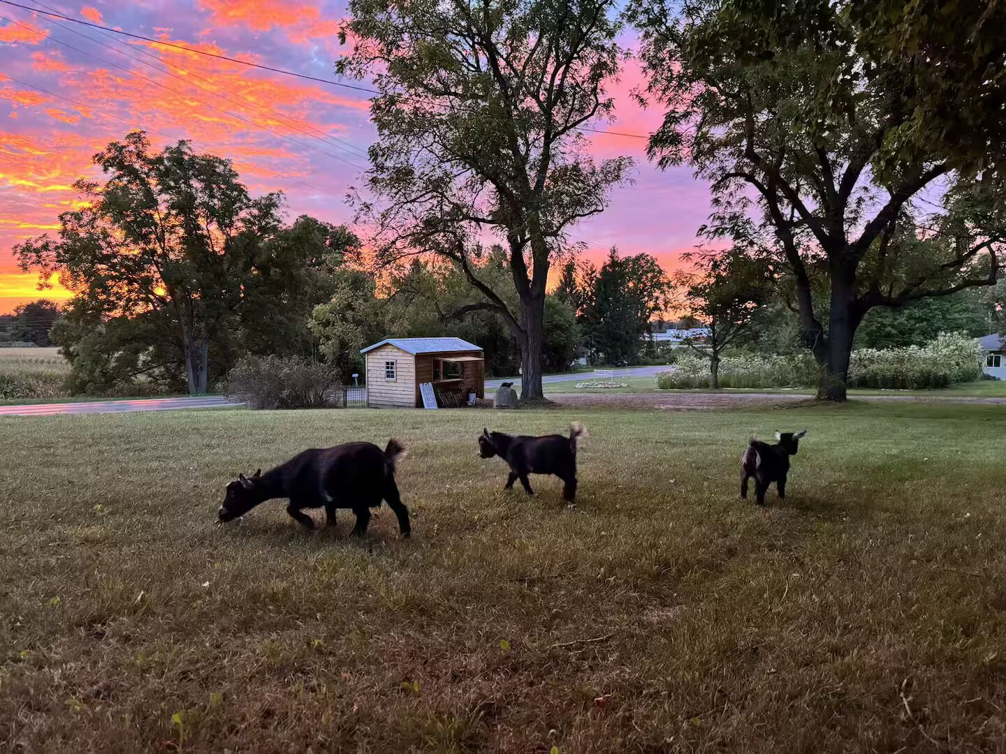 Property grounds