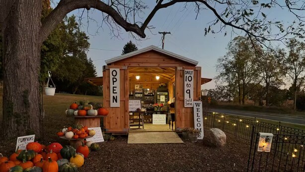 A wooden structure with a sign indicating it is open, surrounded by pumpkins and a sign for daily self-serve. - 1-4 Guests, 1 Bath Farm Stay at a Pygmy Goat Farm in Byron Center, Michigan (Byron Center)