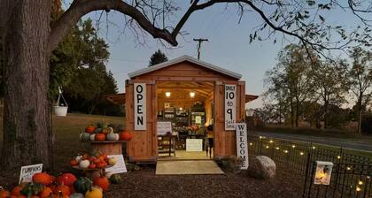 1-4 Guests, 1 Bath Farm Stay at a Pygmy Goat Farm in Byron Center, Michigan