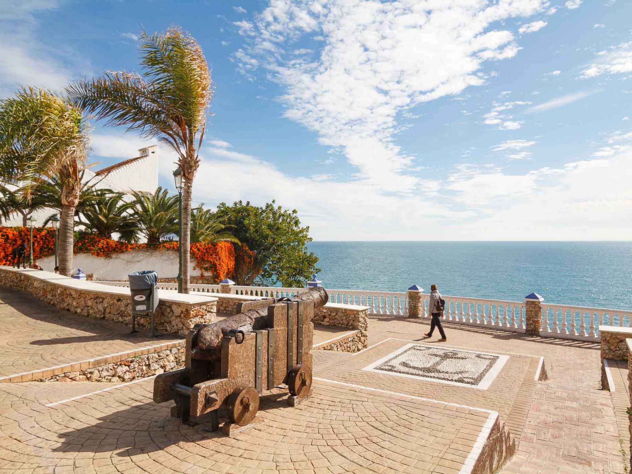A paved area with a cannon, palm trees, and a view of the sea.