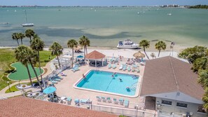 Pool - Your own tropical resort! Heated Pool & Pickleball (St. Petersburg)