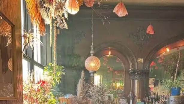 Un intérieur chaleureux avec un canapé vert, une table ronde et diverses plantes.