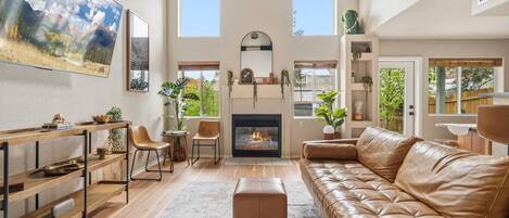 TV, fireplace, video games, stereo