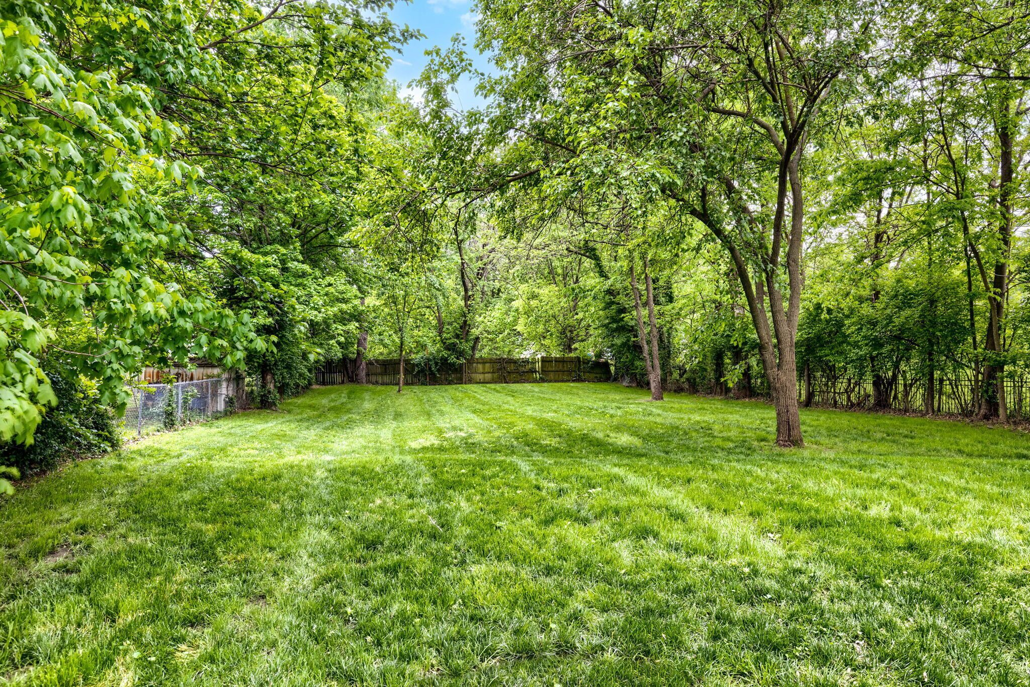 A well-maintained grassy yard with trees and a fence.