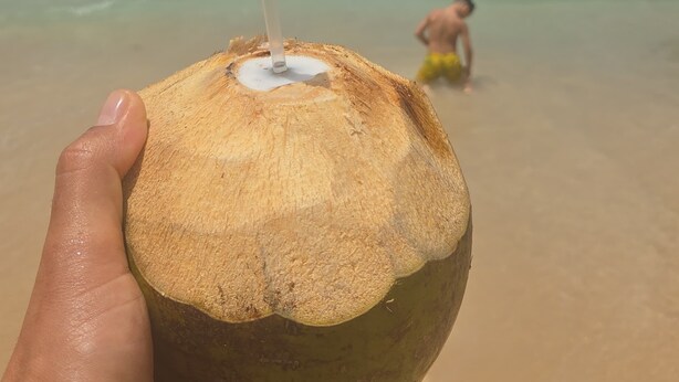 A hand holding a coconut with a straw, palm trees, and a beach with people in the background.