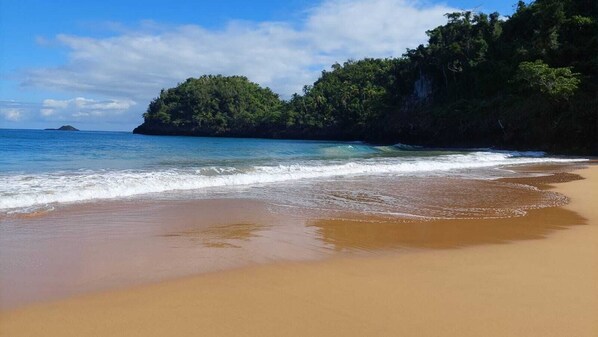 Une plage à l’eau claire, un rivage sablonneux et, au loin, une île couverte de forêts.