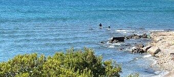 Sadova Messinia Pearl Cozy Seafront Tiny House