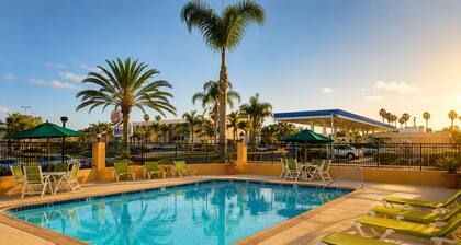 Aurelia Oceanside