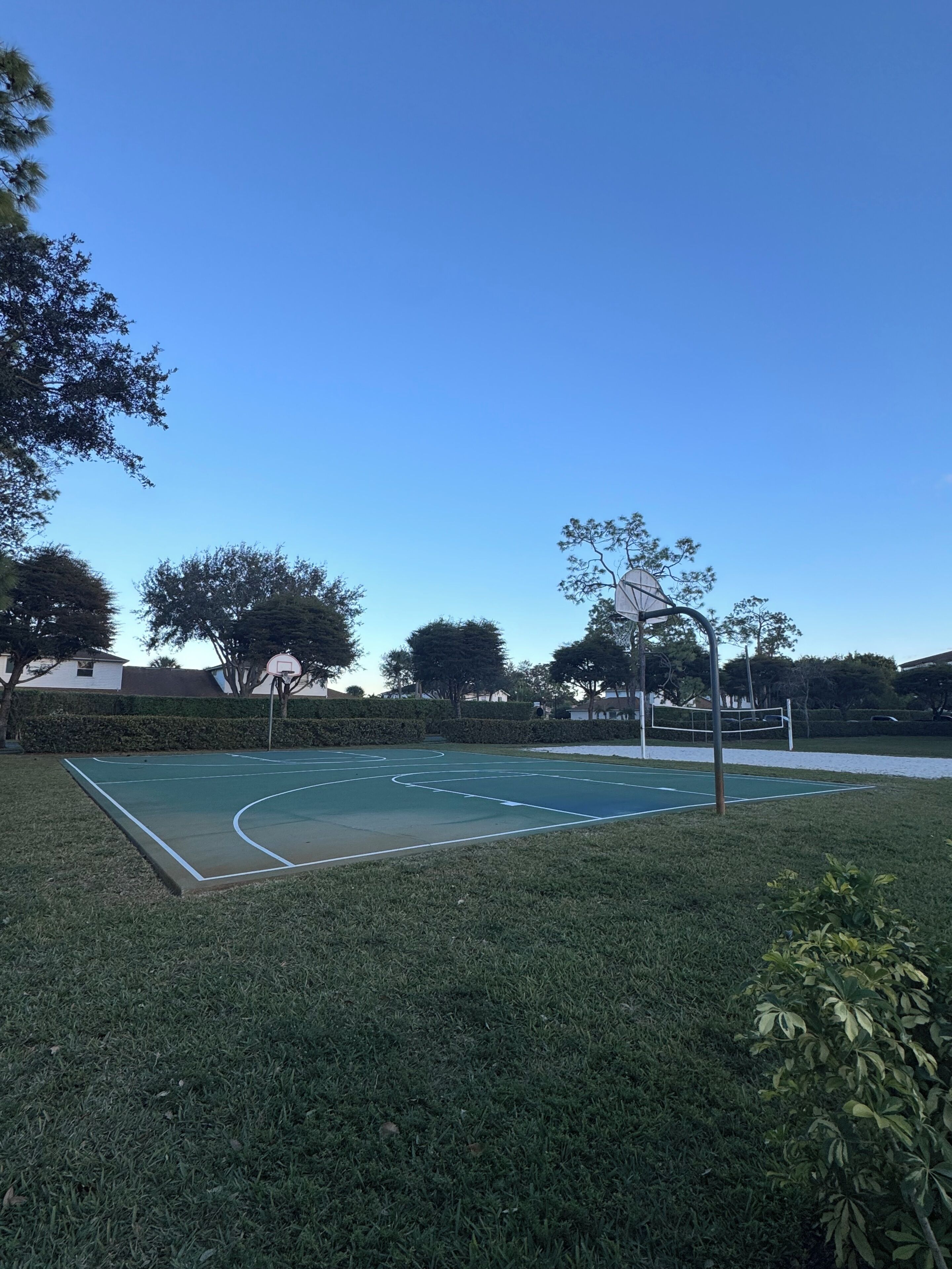 An outdoor basketball court with a clear blue sky, surrounded by trees and a hedge.