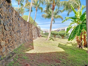 A stone wall, palm trees, and a grassy area with a building in the background.