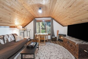 Televisión, chimenea y libros 