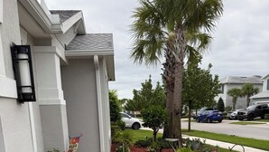 A residential driveway with a brick pathway, a palm tree, and a garden bed with mulch and plants.