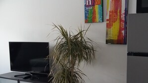 Moderni keittiö, jossa on litteänäyttöinen televisio, ruukkukasvi ja kaksi seinälle ripustettua taulua.