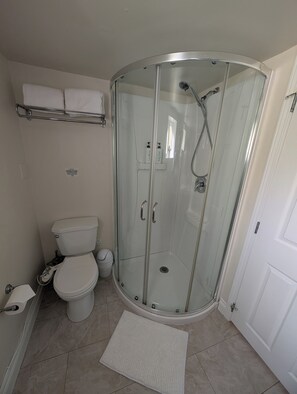 Shower, bidet, towels, soap - Safe, luxurious, private & bright suite (Delta)