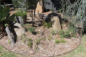 Property grounds - beachside garden retreat 5 min walk to beach, cafe's, supermarket. (McCrae)