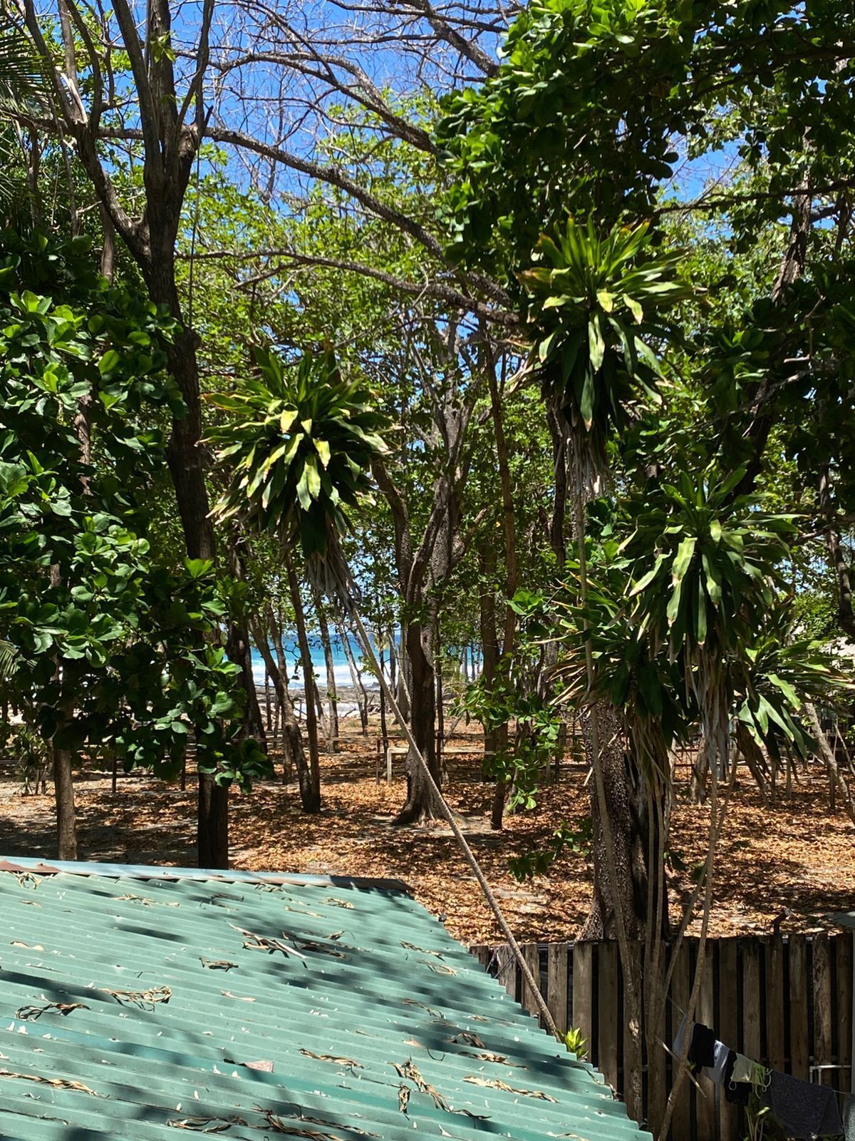 Monolocale Classic, vista mare | Parco della struttura