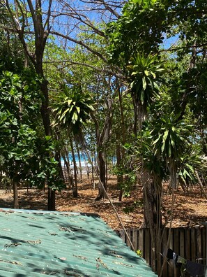 Monolocale Classic, vista mare | Parco della struttura