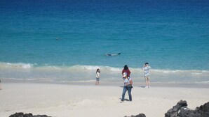 A beach with people, including a child and adults, near the water's edge. - 2-bedroom ocean golf course condo in beautiful Kailua-Kona w/ cool ocean breezes (Kailua-Kona)