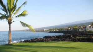 A coastal view with a palm tree, ocean, and buildings in the background. - 2-bedroom ocean golf course condo in beautiful Kailua-Kona w/ cool ocean breezes (Kailua-Kona)