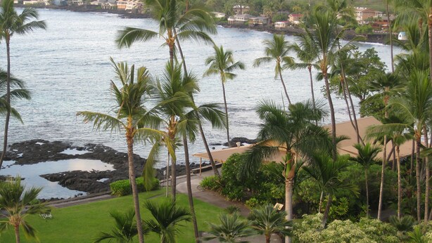 A coastal view with palm trees, a beach, and houses in the background. - 2-bedroom ocean golf course condo in beautiful Kailua-Kona w/ cool ocean breezes (Kailua-Kona)