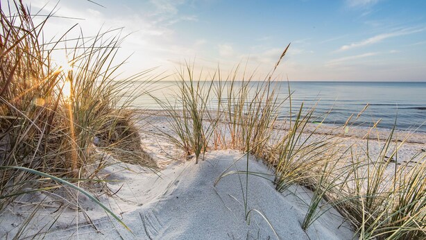 Ein Strandweg, der zum Meer führt, mit Sand und Gras.