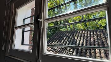 Ático Deluxe, balcón, vistas al parque | Interior