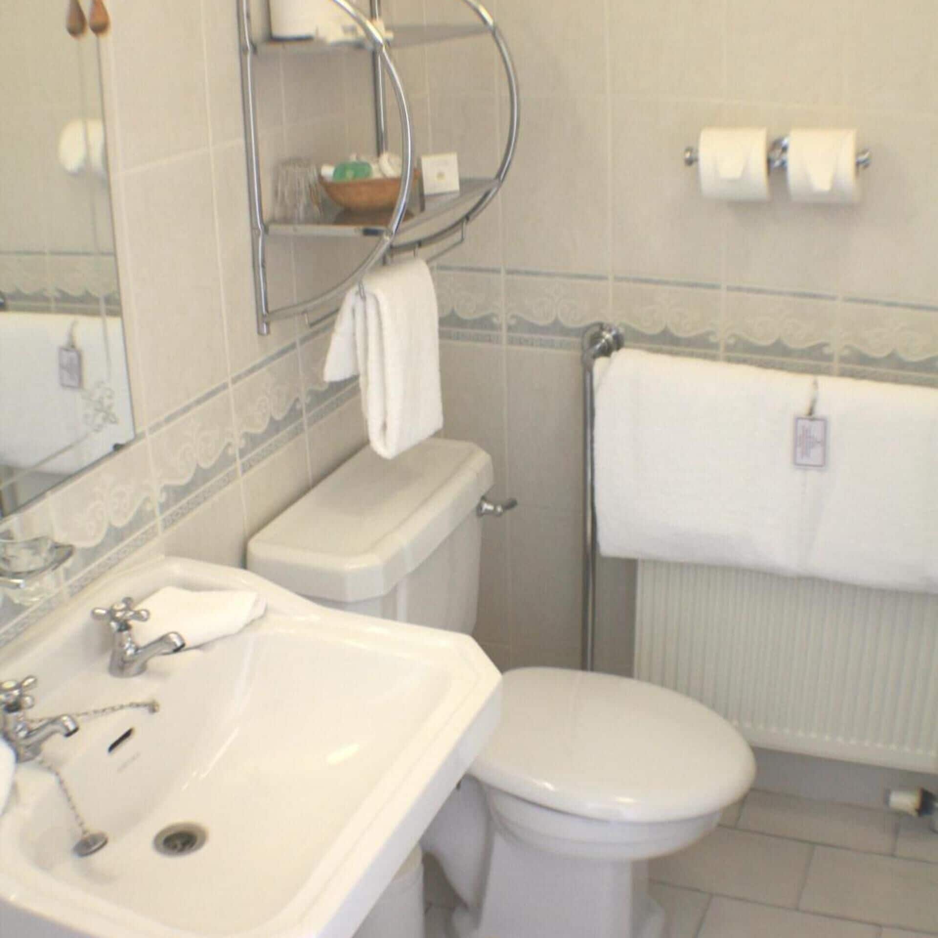 Un baño con lavabo, inodoro y perchero para toallas.