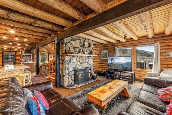 Smart TV, fireplace, books, stereo
