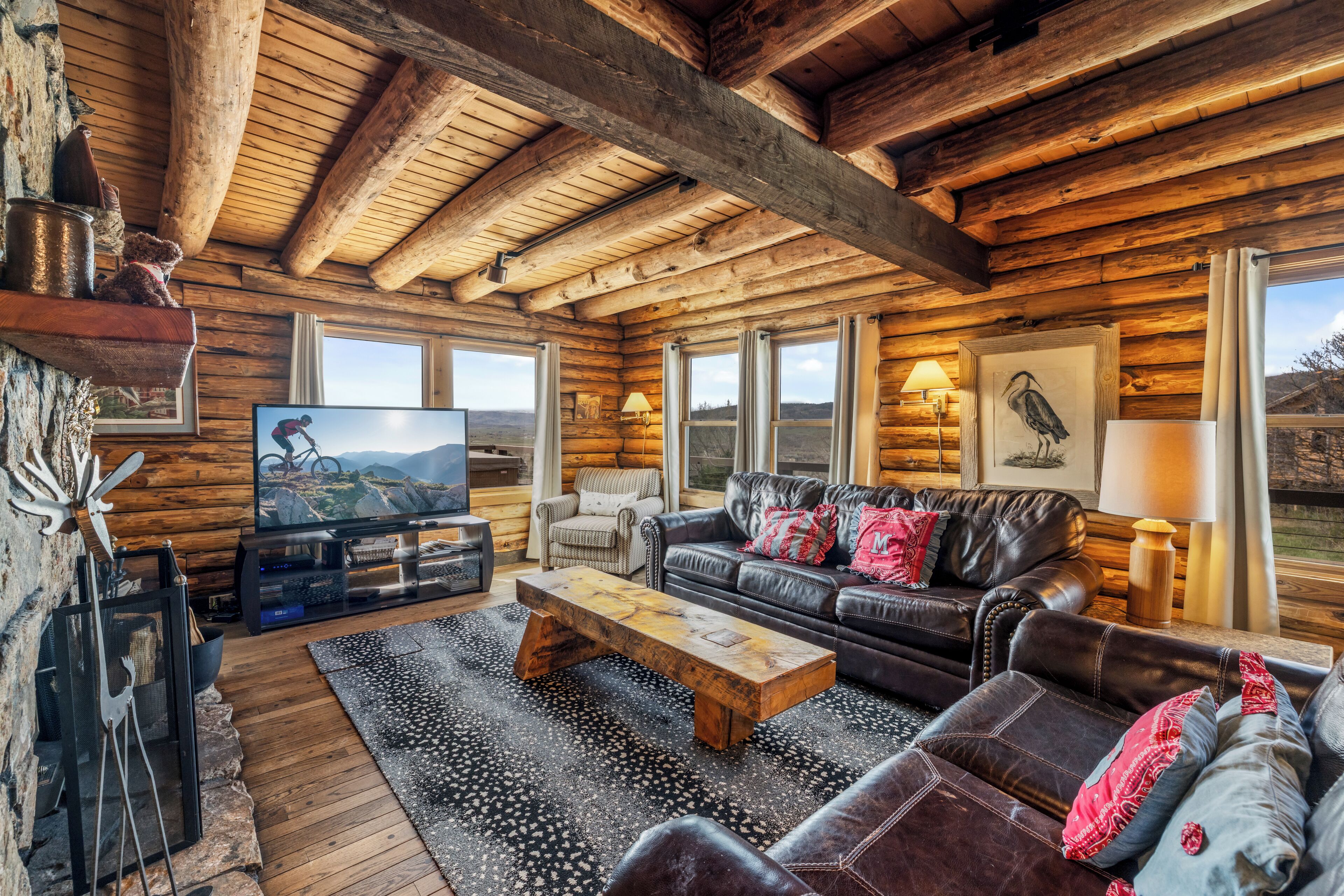 Smart TV, fireplace, books, stereo
