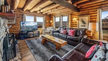 Smart TV, fireplace, books, stereo